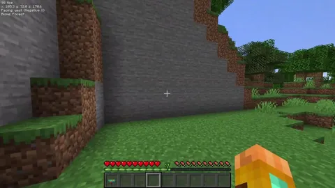 A simple almost undetectable hidden entrance I came up with recently