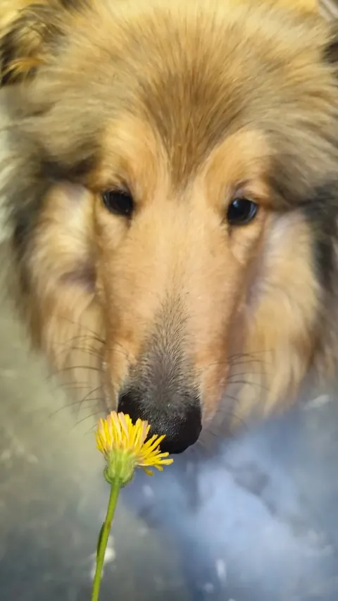 Sometimes in life you have to stop and smell the flowers!