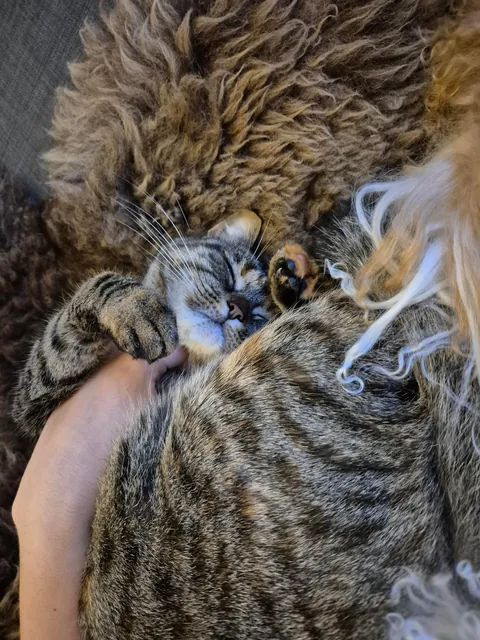 She wanted me to hold her hand while she was sleeping ❤️