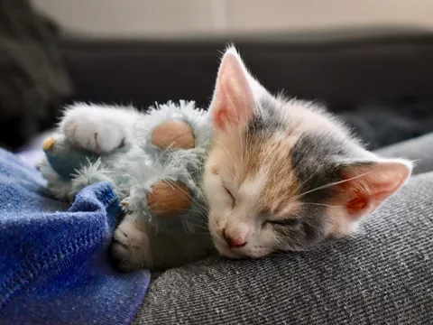 Hugging her little teddy bear