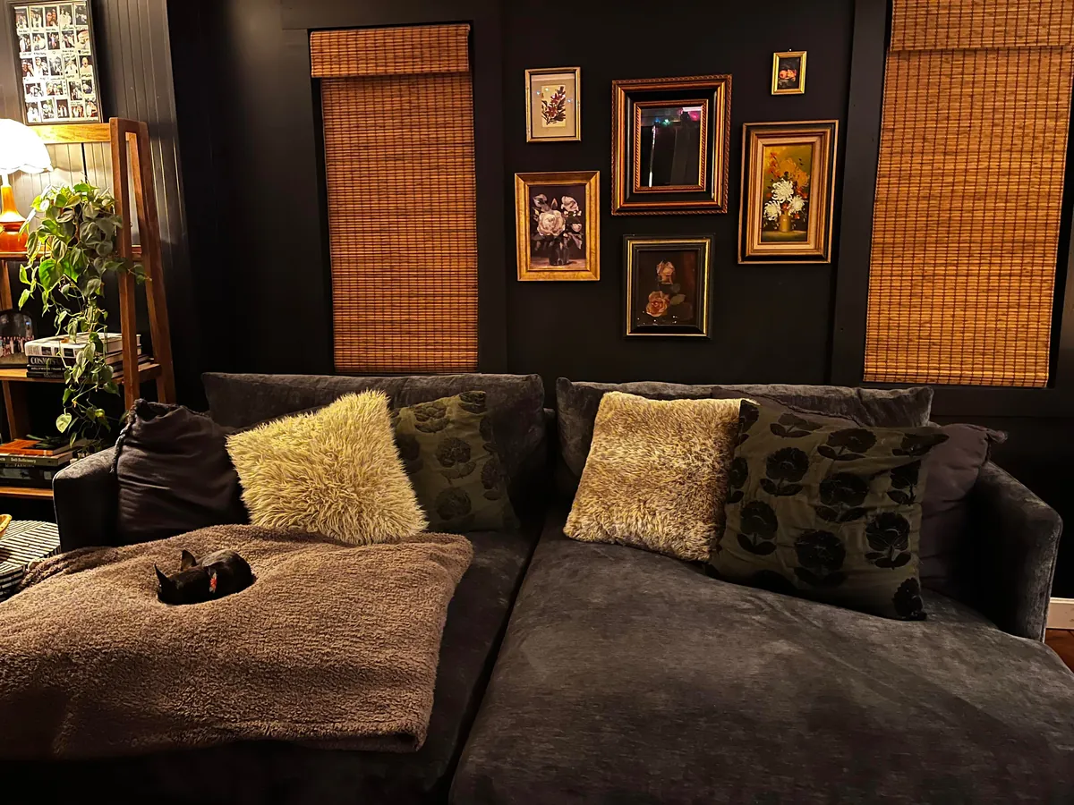 My downstairs living room, kitchen, entry way, music room and bathroom