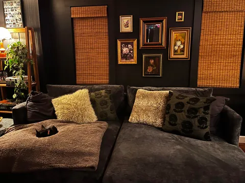 My downstairs living room, kitchen, entry way, music room and bathroom