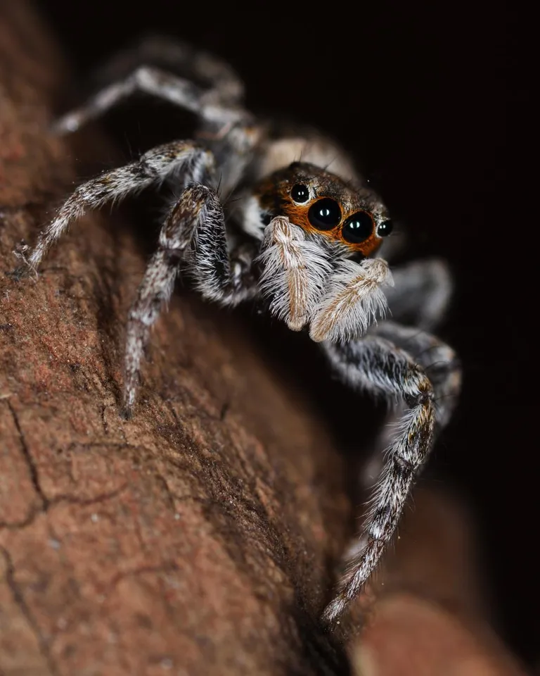 One of my first macros. What do you think?