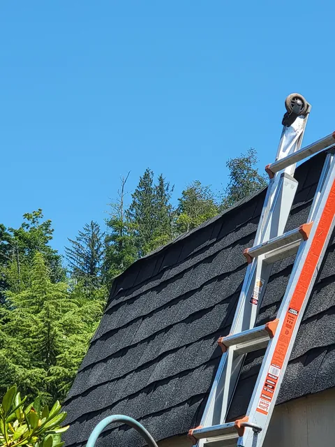 99% sure I did my shingles wrong on my shed... Will they be alright for a few years at least?