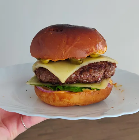 i made a cheeseburger the other day and was really proud of it!