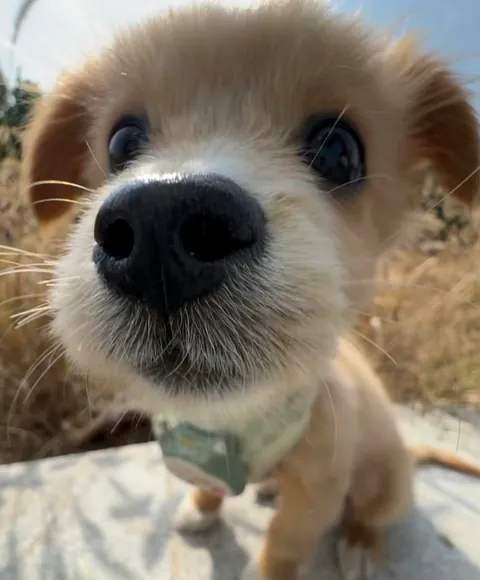 Mom, can I eat grass?🥰