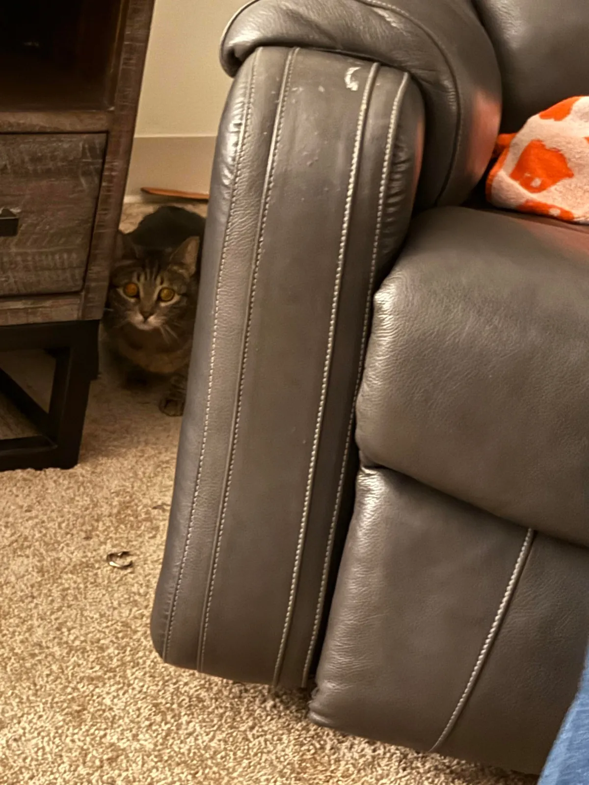 Every time I come home after being away for a prolonged period of time, my cat looks at me like I just broke into to her house