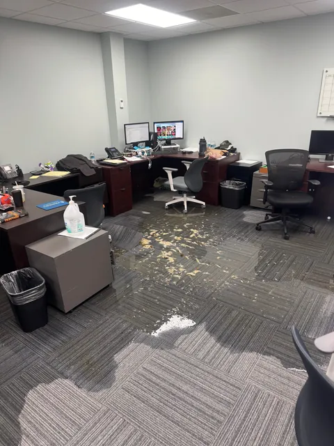Turd pipe burst in the office