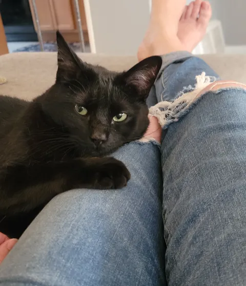 My Sister is on Vacation. This is Salem. I am Paralyzed.