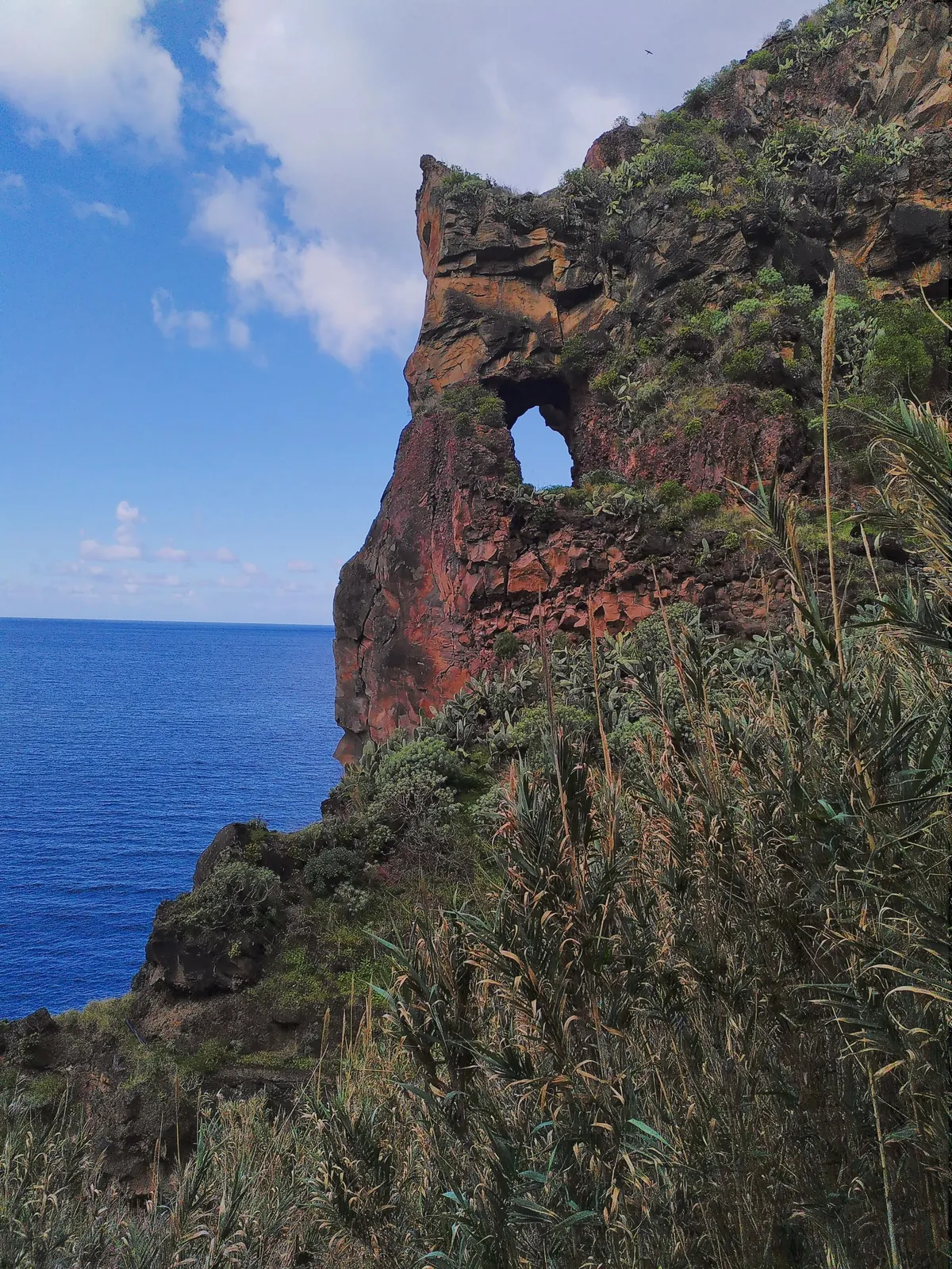 Madeira is a paradise for nature lovers. Five days on the island in pictures.