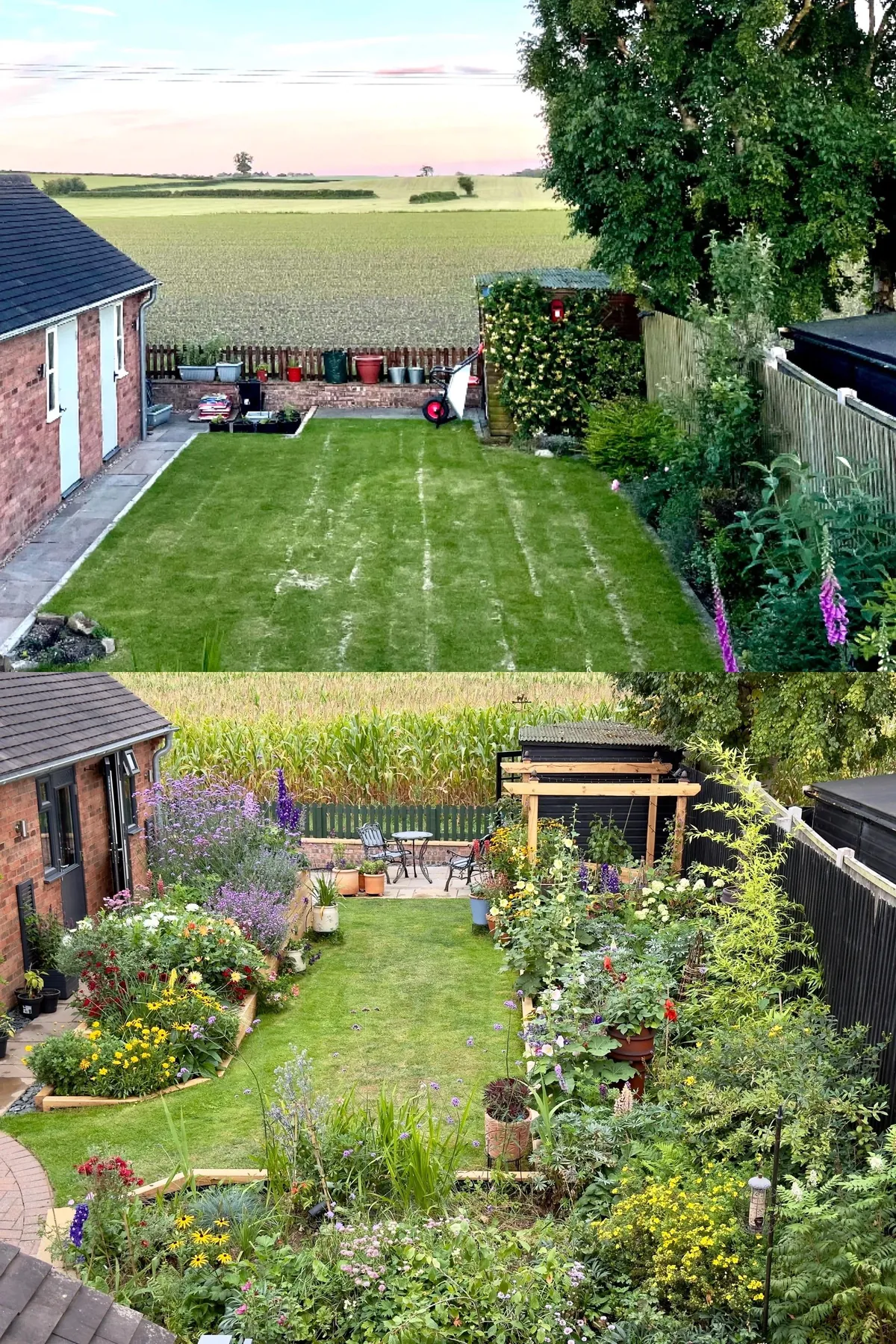 Our 2025 garden project (Staffordshire, UK)