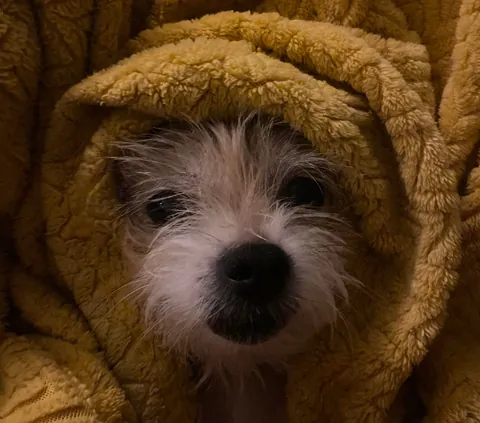 Don’t let Puppy fool you