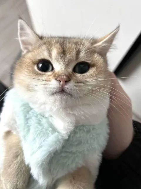 The last food you ate is what I’m calling him.