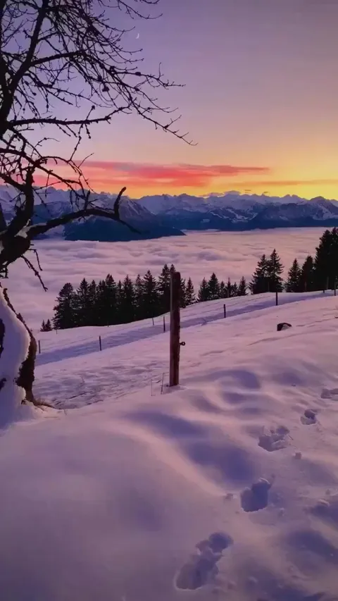 🔥 Snowy morning in Switzerland 🇨🇭