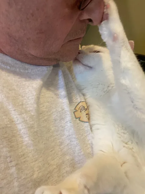 Nine Years &amp; Counting