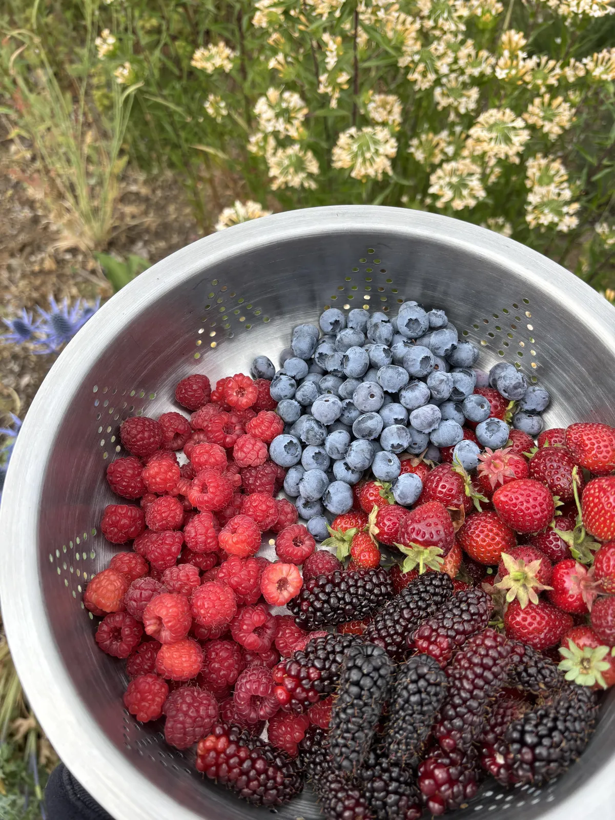 Getting a little of everything now