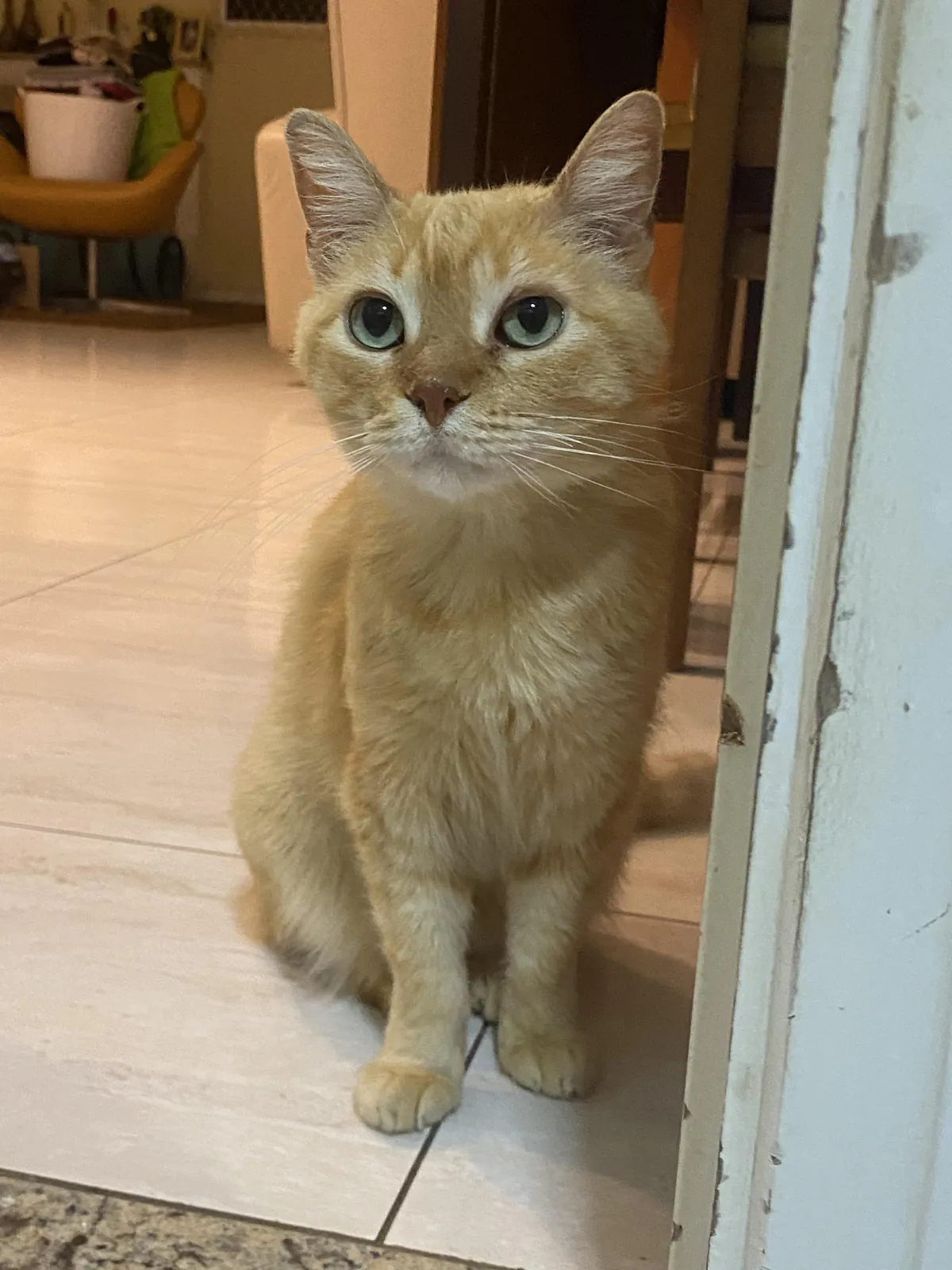 My girl is so pretty. I couldn’t imagine life without her. 🩷