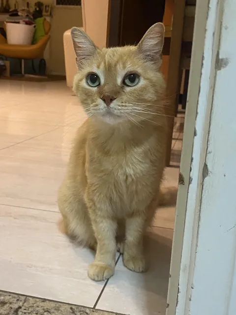 My girl is so pretty. I couldn’t imagine life without her. 🩷