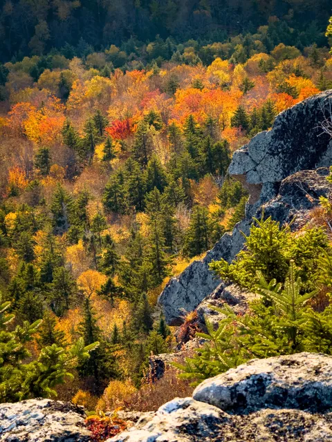 This is my view right now. The Whites, NH [OC] [3024x4032]