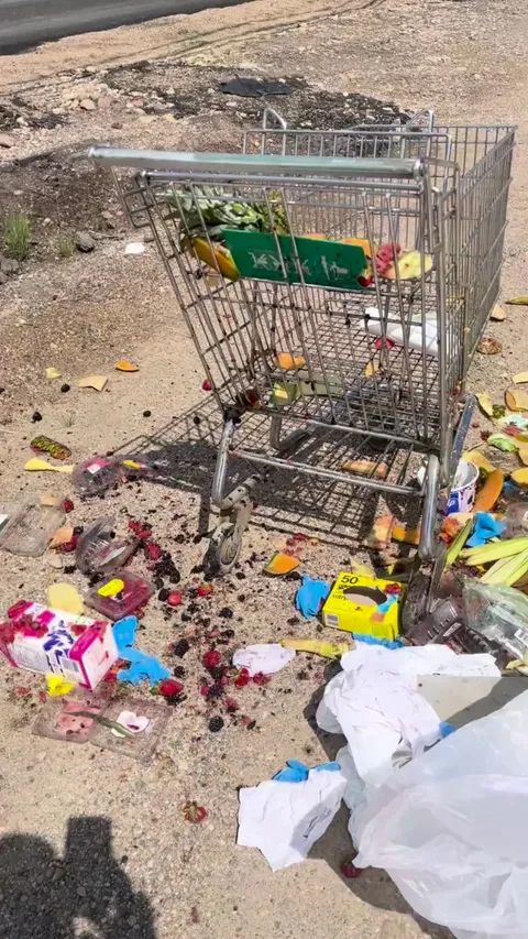 Bag ripped open mid toss. I am now covered in rotten fruit juice.