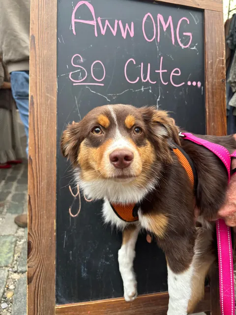 say she’s a good girl 🫵🏻