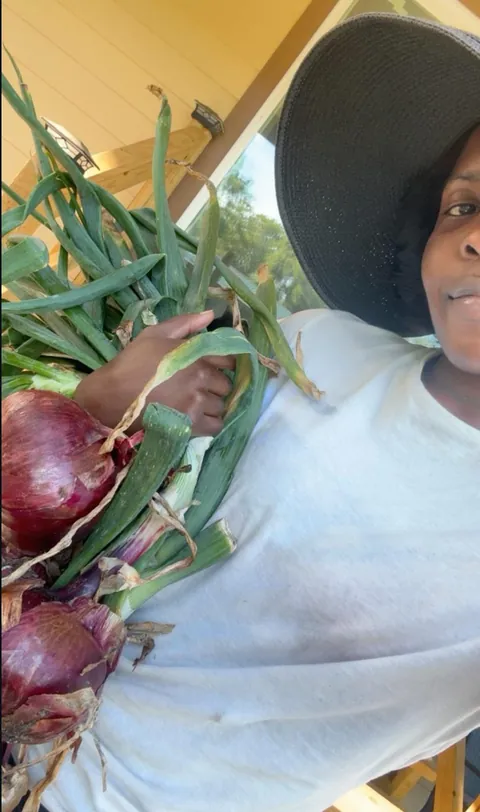 Red Vidalias successful first grow 🎀