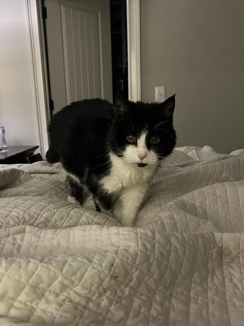 My 20-year-old baby is always crying