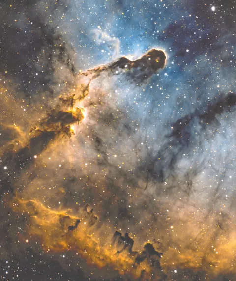 The Elephant's Trunk Nebula from Backyard