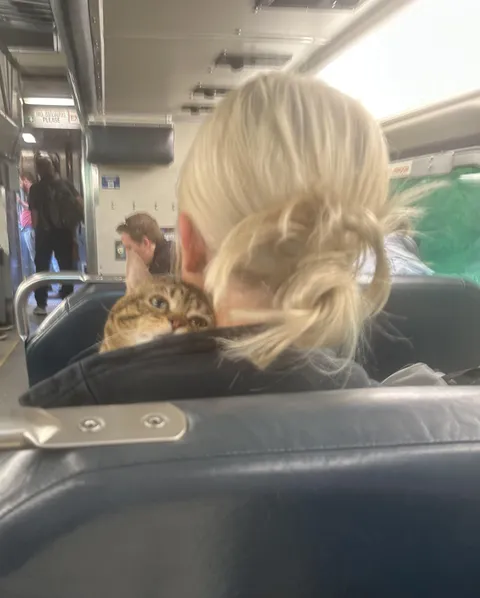 This guy popped up on my train ride home today….😄