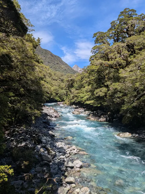 4.5 months in New Zealand