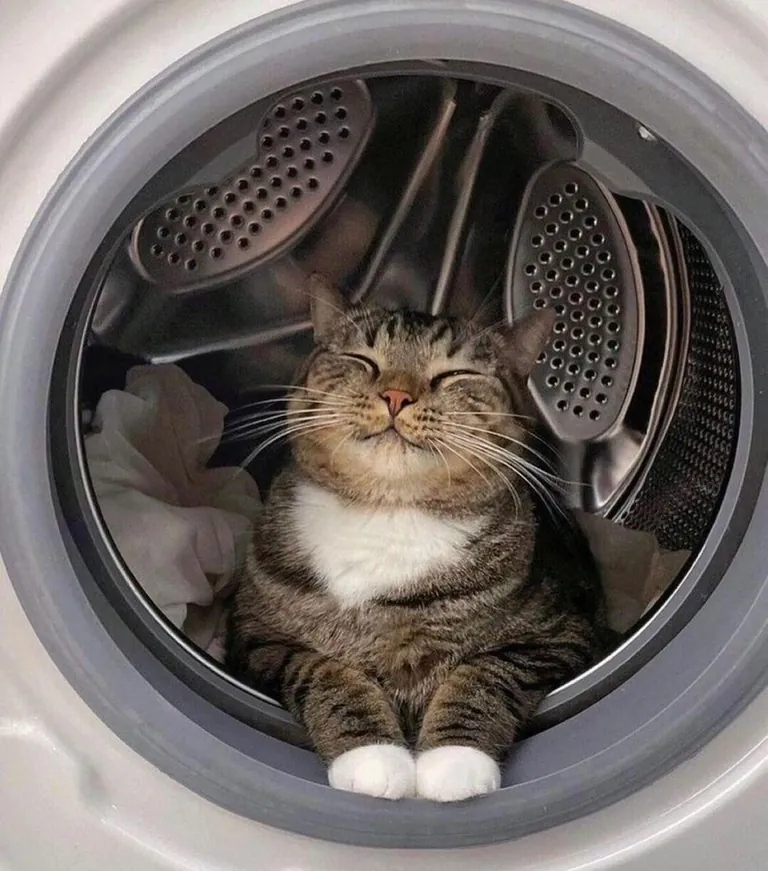 No, you won't wash your clothes today