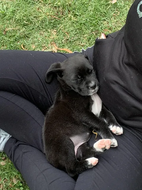 She’s very comfortable and I don’t feel my foot anymore lol 🤣