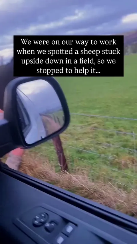 🐑: "boys, y'all won't believe what happened to day." -- Sam Porter