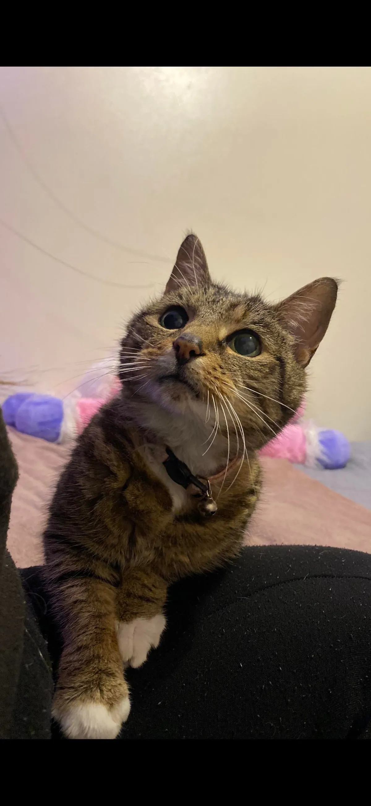 My 22 year old girl💖