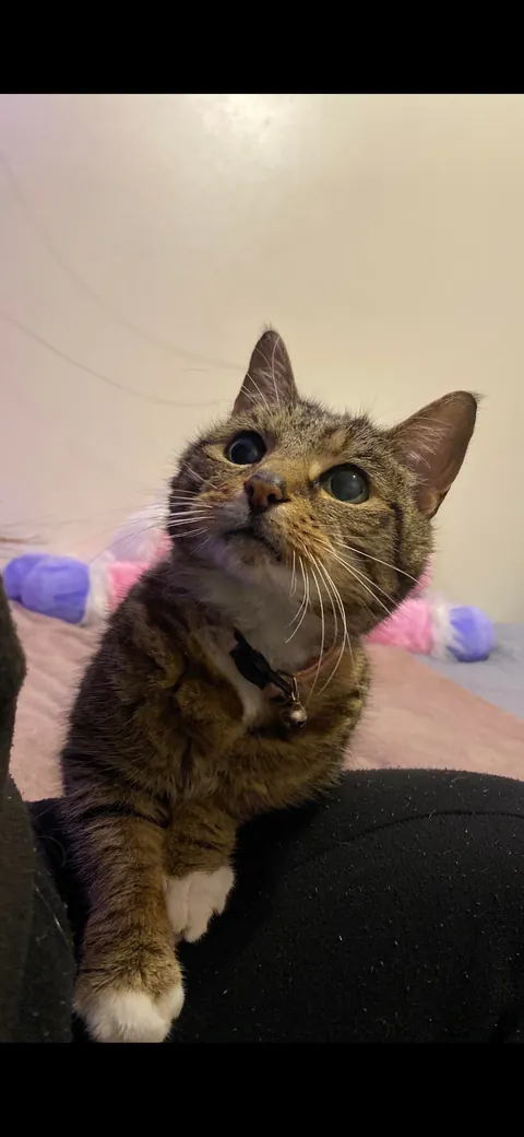 My 22 year old girl💖