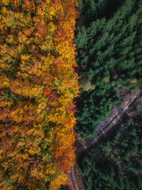Czech Switzerland, Czech republic [6048X8064] [OC]