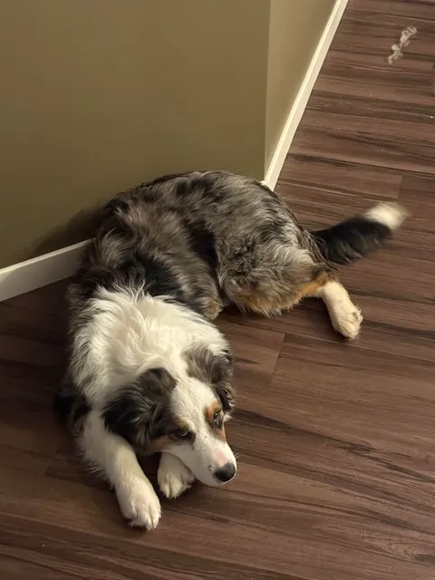 3 months later and already not so little anymore