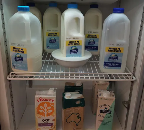 Someone placed a leaking milk bottle into a small bowl, at work