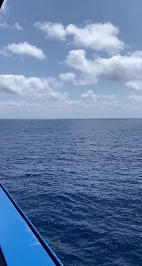 The passengers loved this view