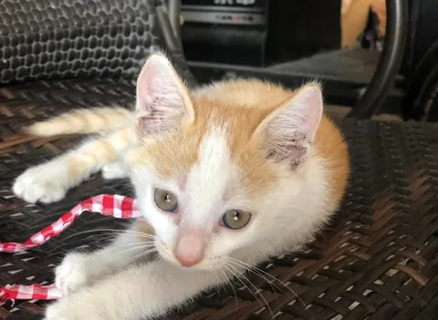 Biggest transformation. Literally grown to be a bun face.