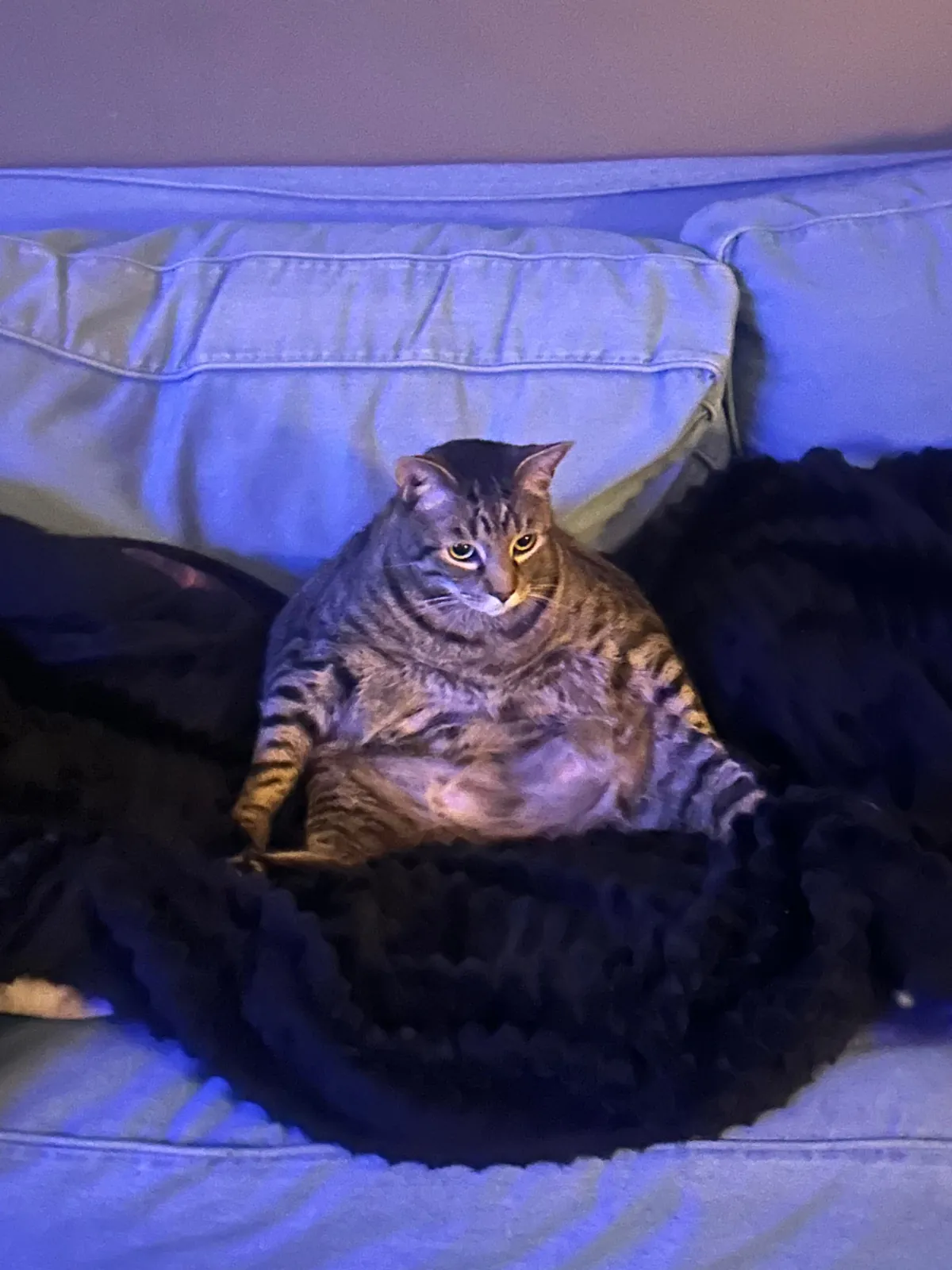 Angry and disappointed I wouldn’t let them play the piano