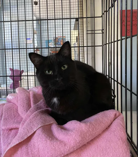 Sardine is back at our shelter. Don’t worry for him, he’s just happy to see us.