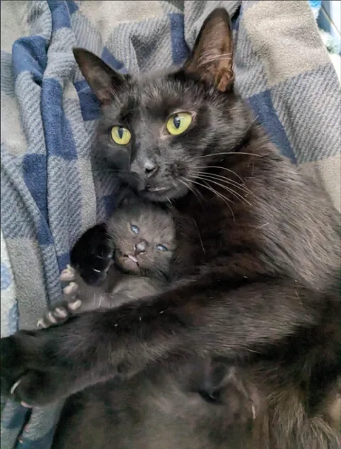 Mama Penny is tuckered out from her smol delinquents