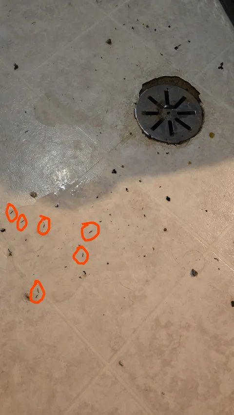 WHAT IS THIS WRIGGLING IN THE WATER??!