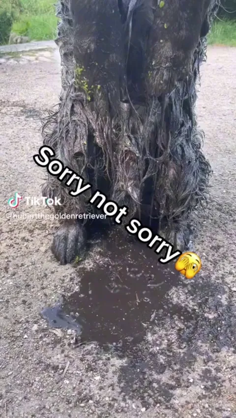 I swear. It was an accident