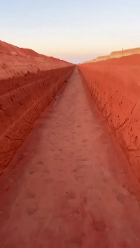 One of the most violent Australian snakes