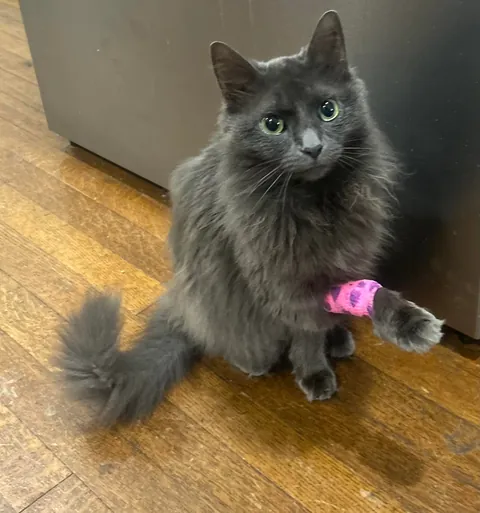 My sweet girl who is fighting cancer