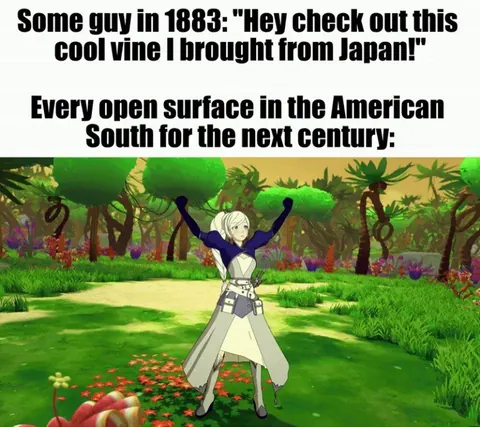 Still only the second worst thing to come out of Japan and spread across the US