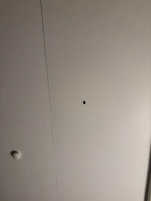 Neighbor’s snot nosed kids got ahold of their guns and shot through my room