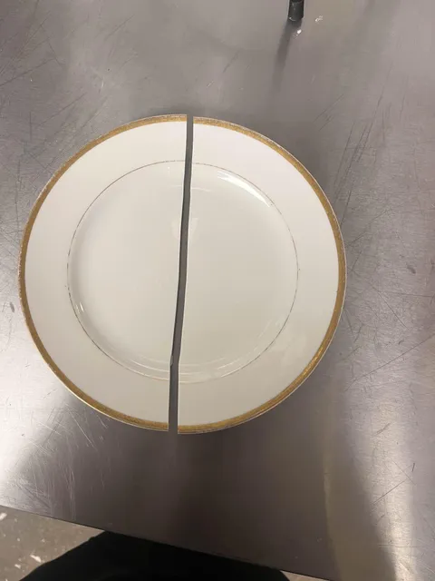 Dropped a plate on a concrete floor and it broke perfectly down the middle